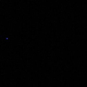 Meet your Posher, Davin